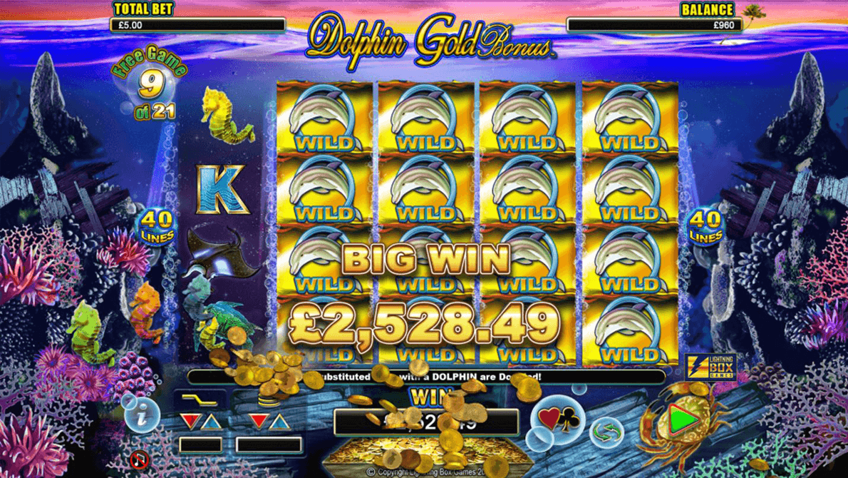 Dolphin Gold 4